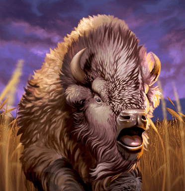 Buffalo Hunter
