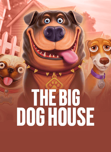 The Big Dog House