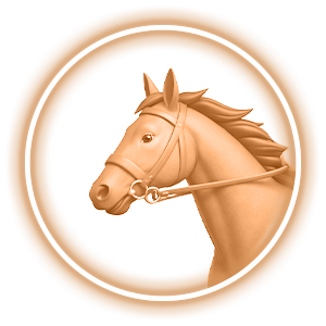 Horse Racing